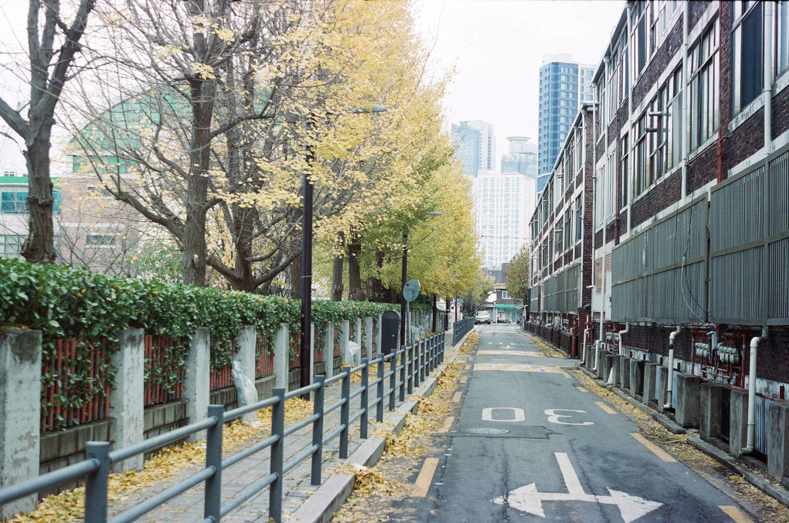 성수동 — 8