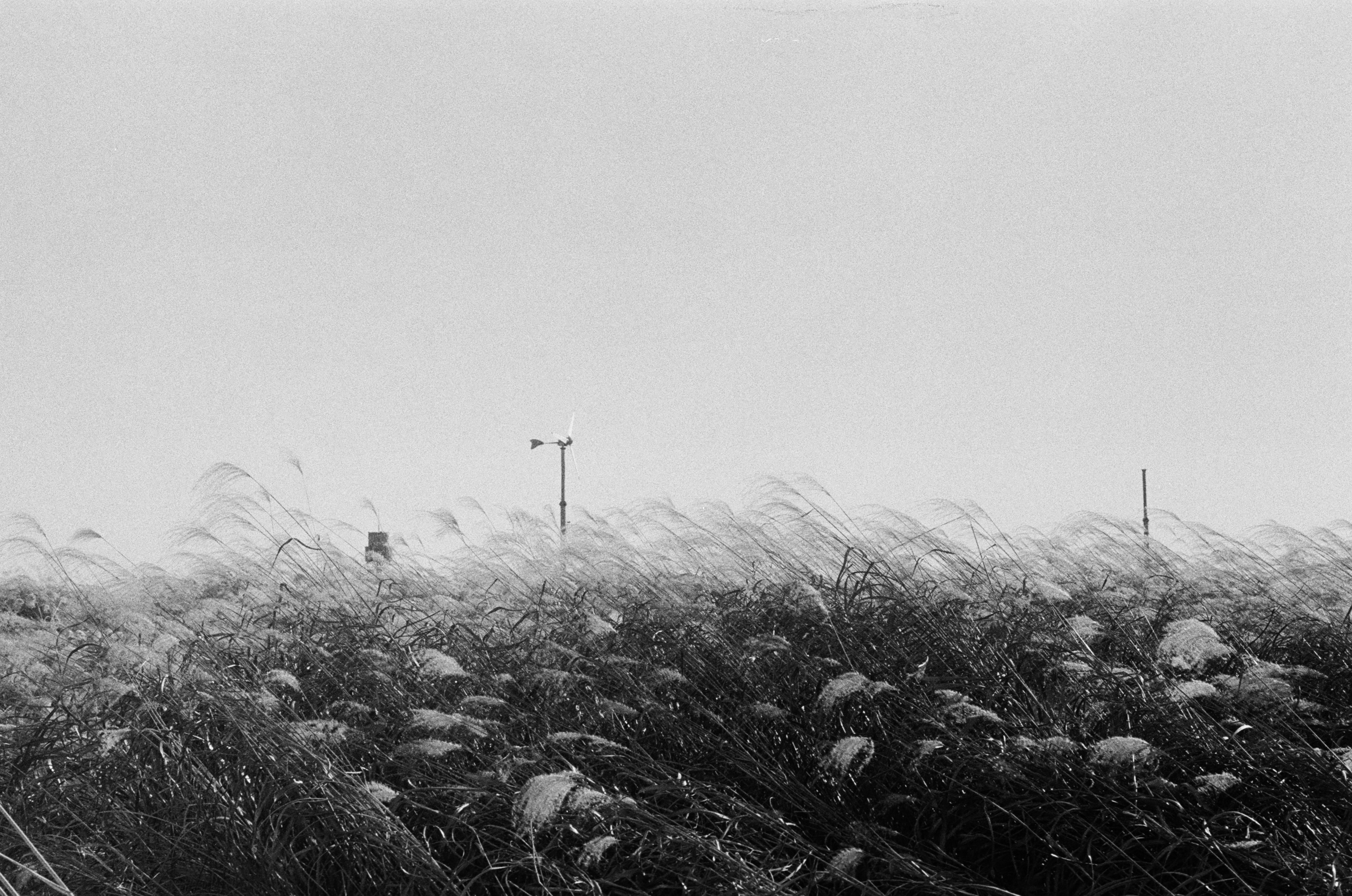 상암동 하늘공원 — 6