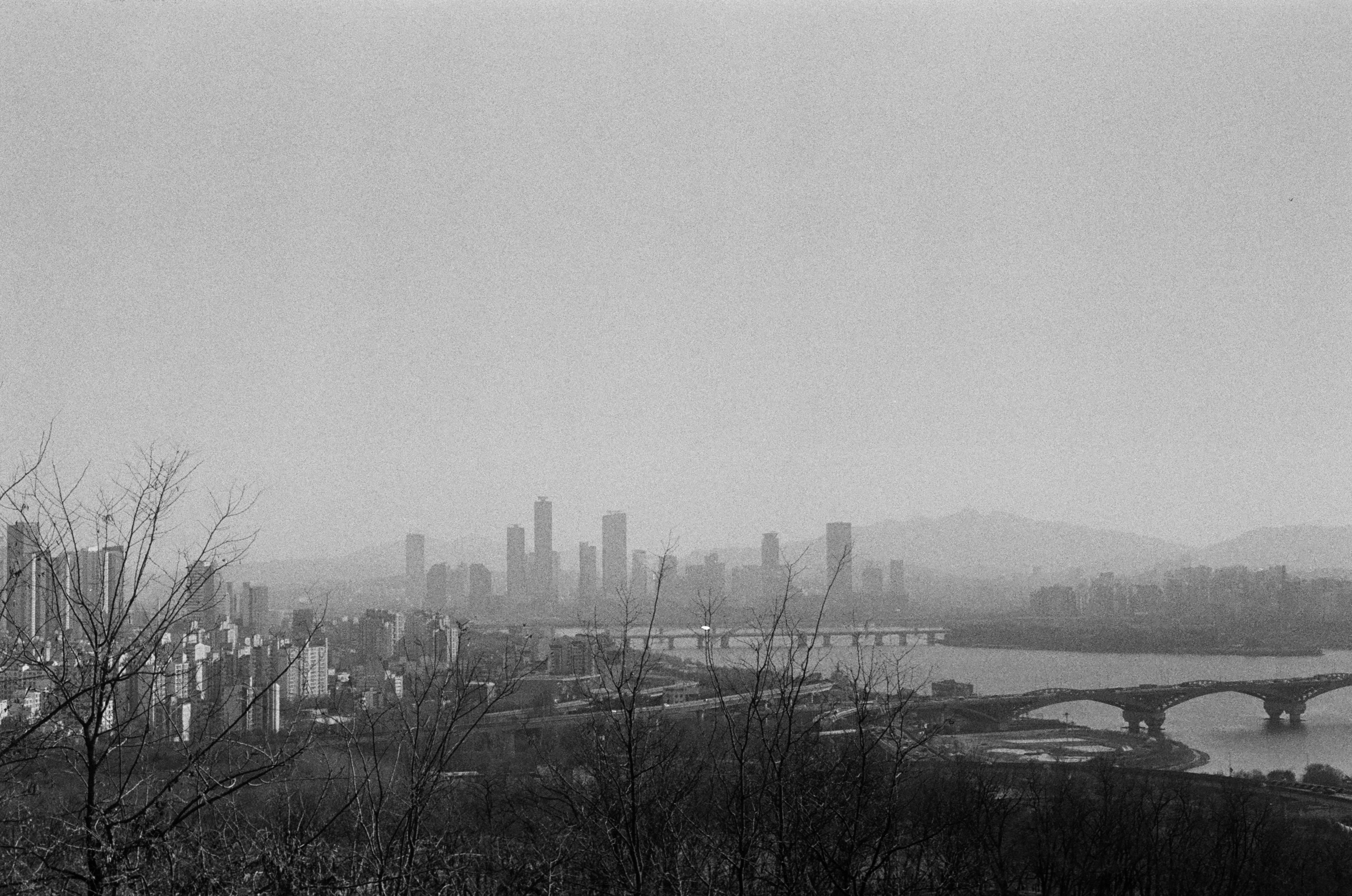 상암동 하늘공원 — 11