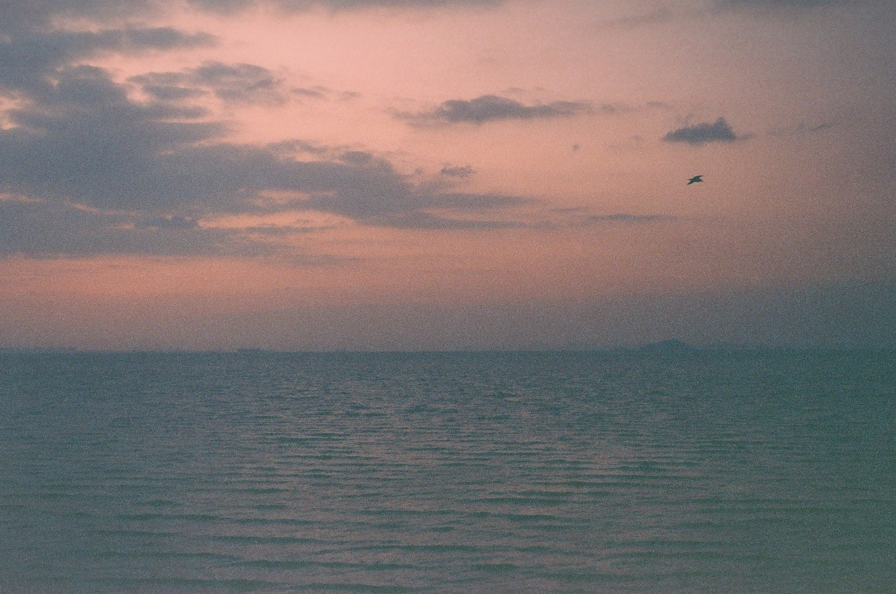 영종도 해돋이 — 1