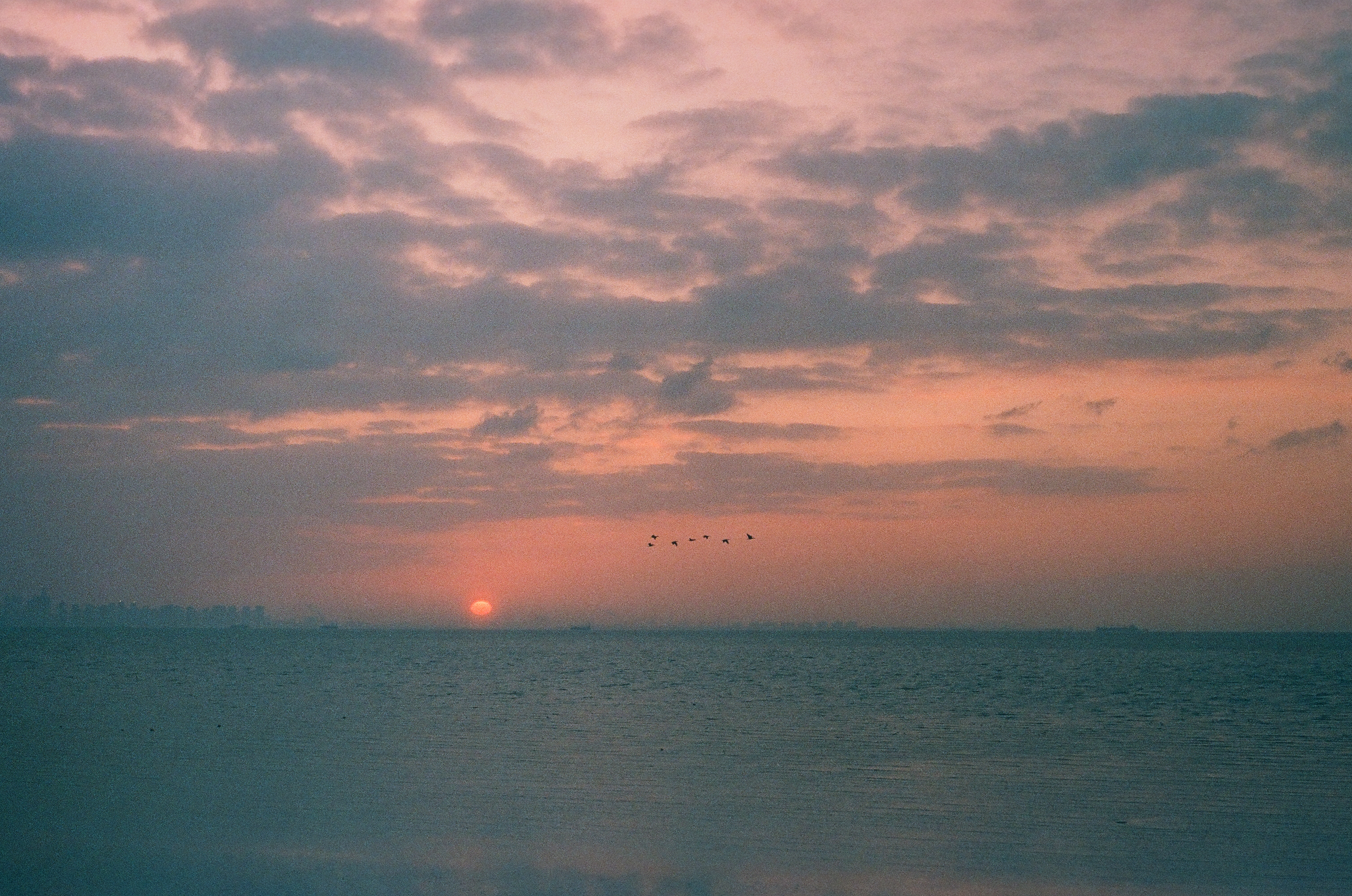 영종도 해돋이 — 2