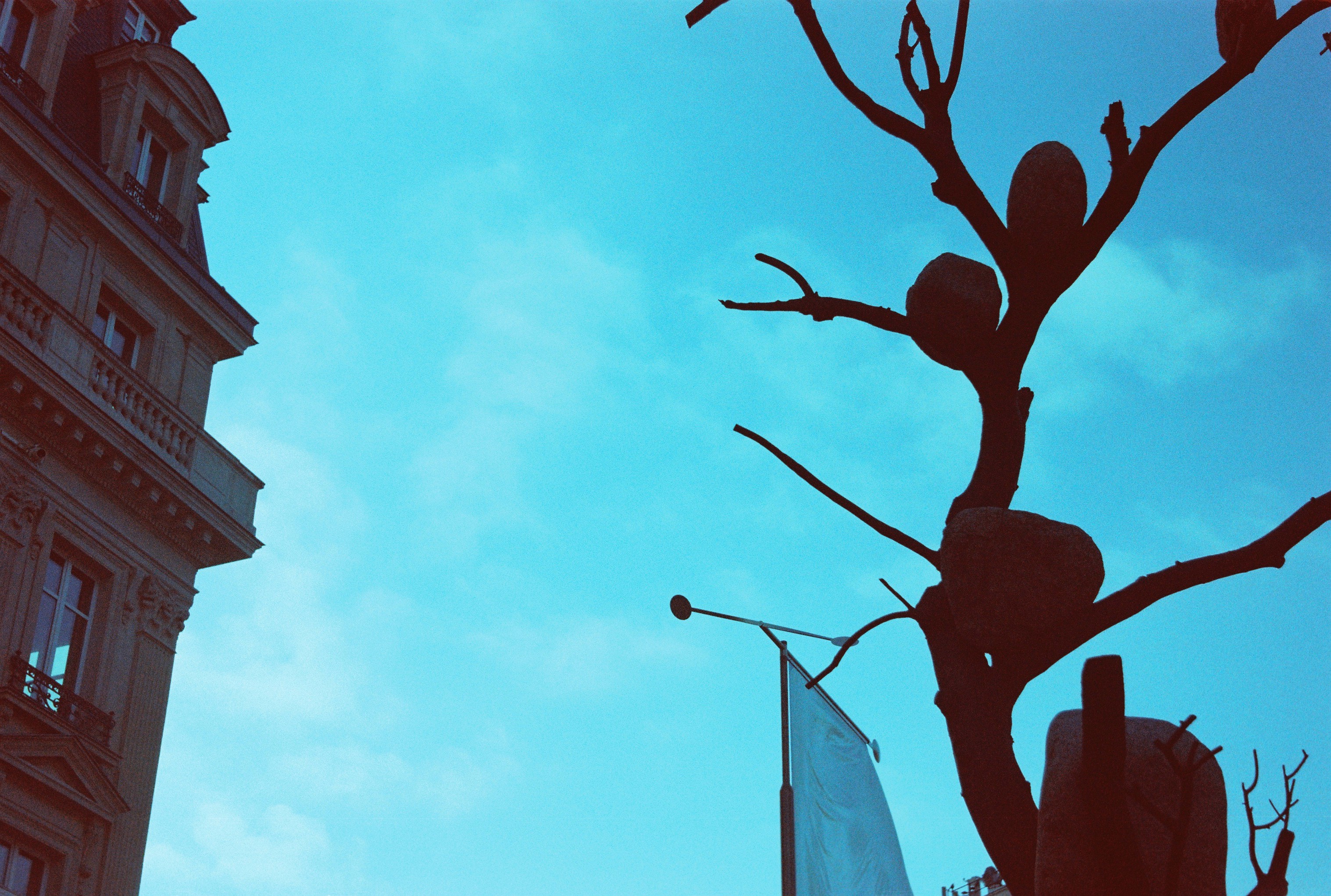 파리 — 2