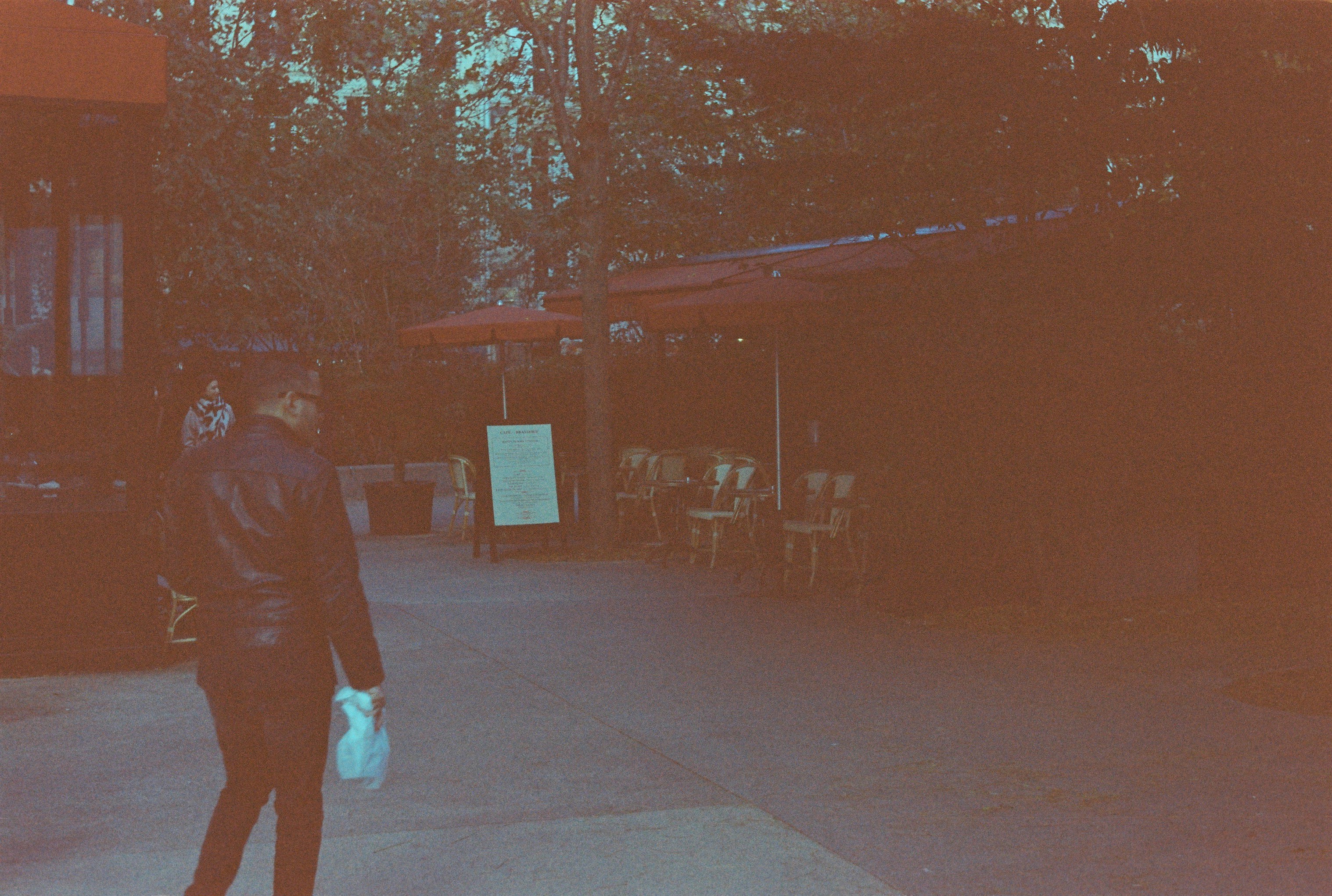 파리 — 3