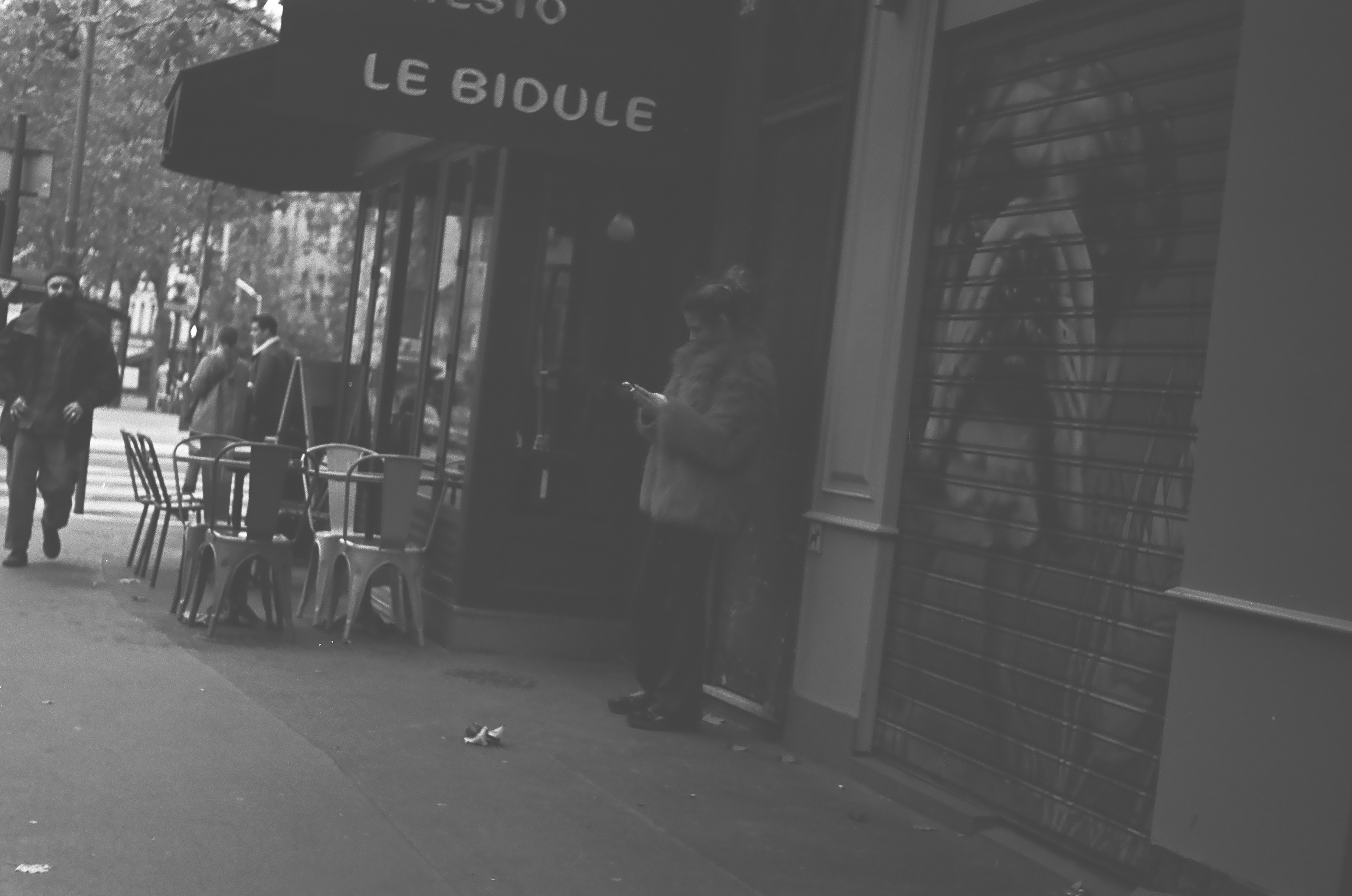파리 — 5