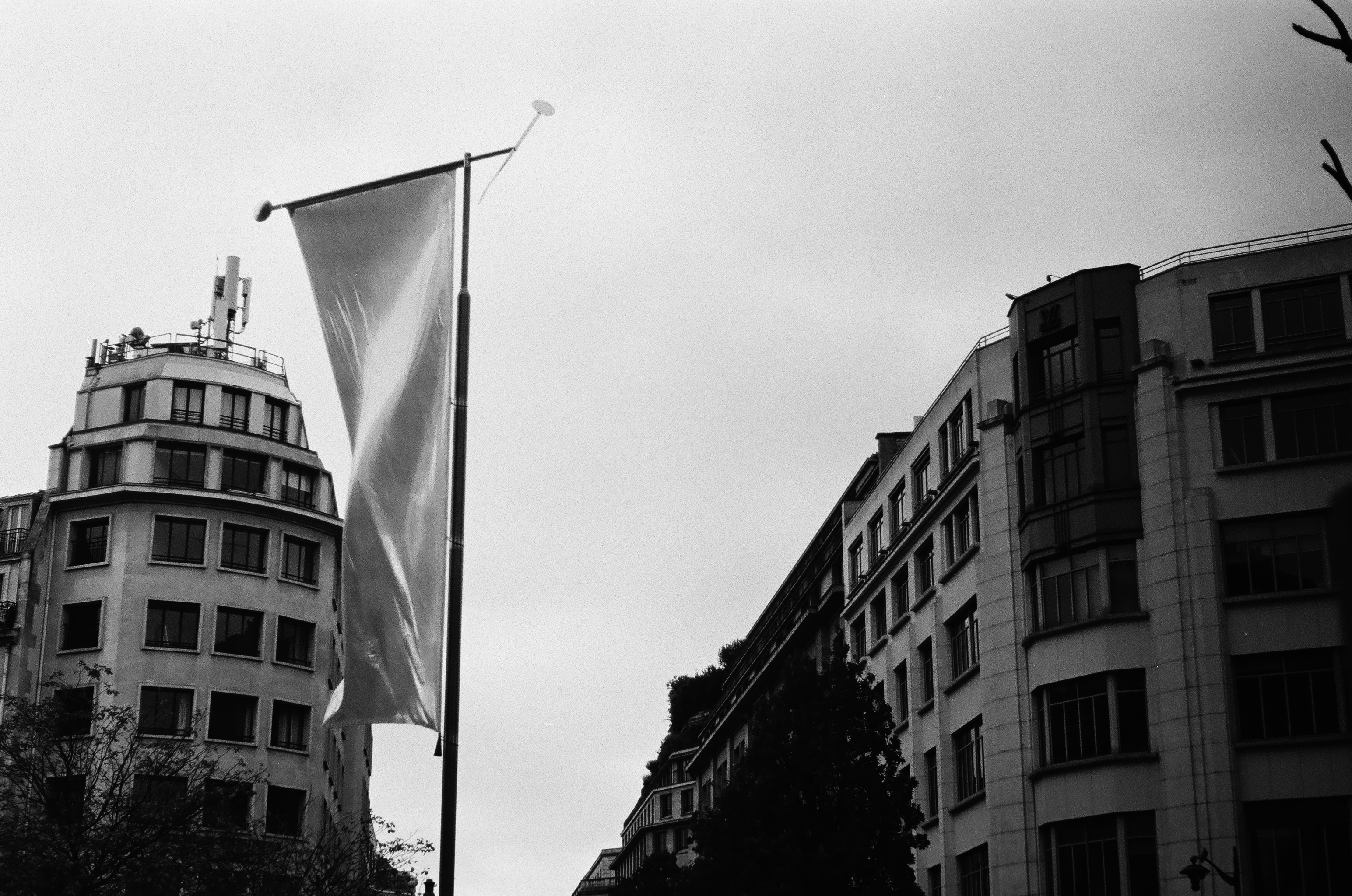 파리 — 15